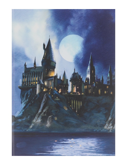 Tarjeta pop up Harry Potter Insights Editions