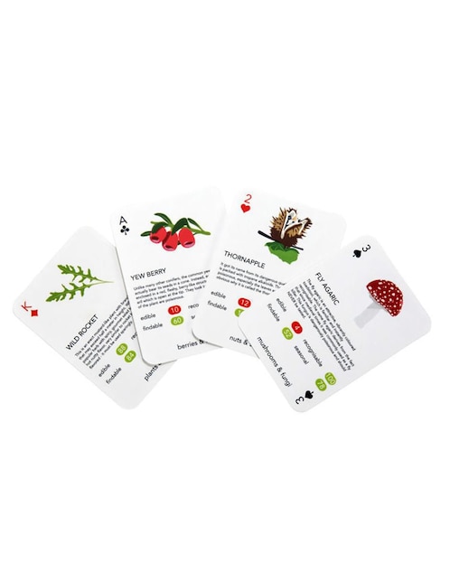 Cartas Kikkerland