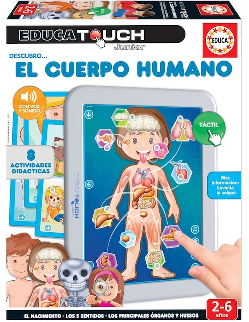 Touch Jr El Cuerpo Humano 1