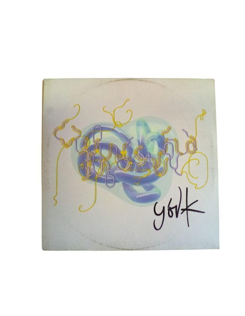 Disco de vinilo autografiado por Björk Club De Idolos