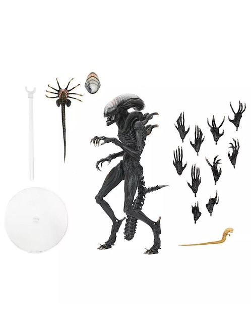 Figura de colección articulada Alien Romulus Scorched Xenomorph ultimate Neca