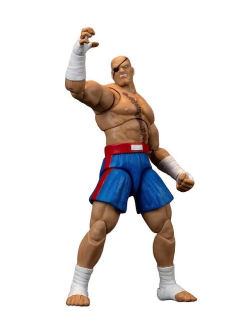 Figura de acción articulada Street Fighter Jada Toys