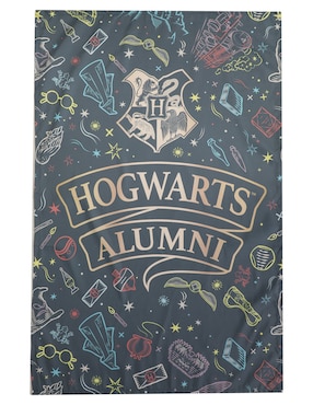 Colgante decorativo de Harry Potter Sunkids