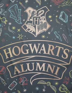 Colgante decorativo de Harry Potter Sunkids