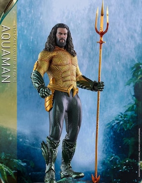 Figura de colección DC Comics Aquaman collectors Hot Toys