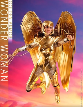 Figura de colección DC Comics Wonder Woman deluxe Hot Toys