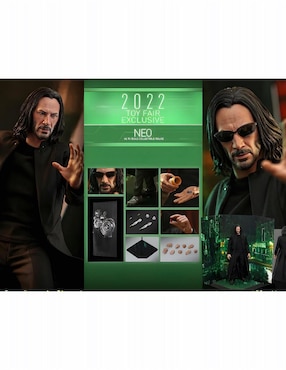 Figura de Colección Matrix Neo Hot Toys Articulado