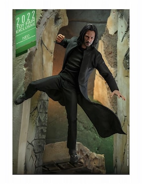 Figura de Colección Matrix Neo Hot Toys Articulado