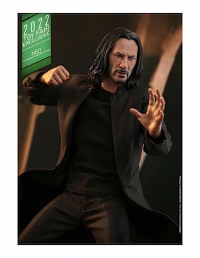 Figura de Colección Matrix Neo Hot Toys Articulado