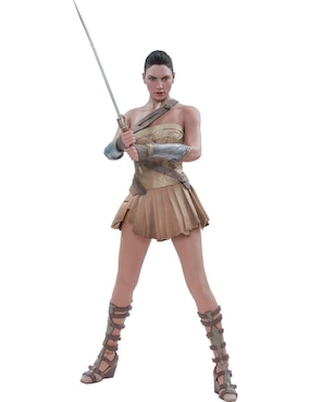 Figura De Colección Wonder Woman Hot Toys Articulado