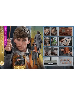 Figura Fantastic Beasts Newt Scammander especial Hot Toys