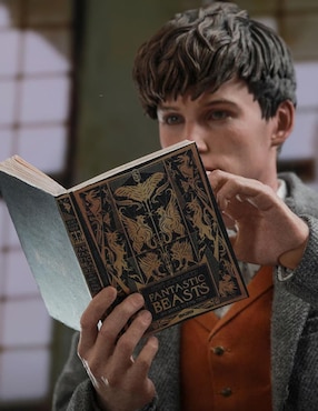 Figura Fantastic Beasts Newt Scammander especial Hot Toys