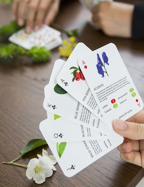 Cartas Kikkerland