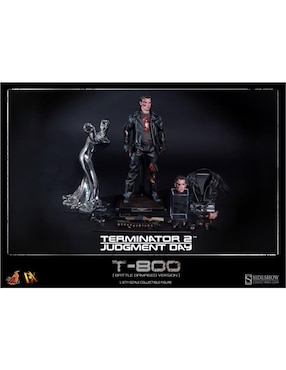 Figura de acción Terminator T-800 collectors Hot Toys
