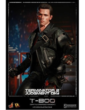 Figura de acción Terminator T-800 collectors Hot Toys