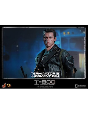 Figura de acción Terminator T-800 collectors Hot Toys
