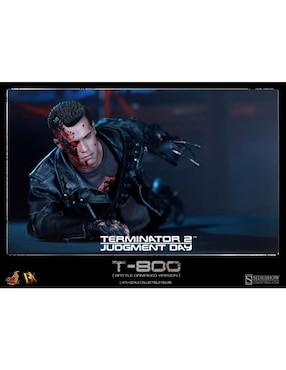 Figura de acción Terminator T-800 collectors Hot Toys