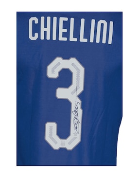 Jersey autografiado por Giorgio Chiellini Club de Idolos