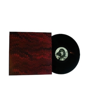 Disco de Vinilo autografiado por The Killers Club de Idolos