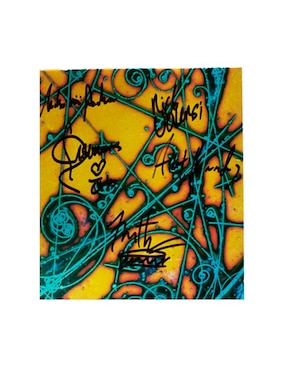 Disco de Vinilo autografiado por The Strokes Club de Idolos