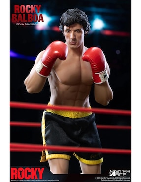 Figura de colección articulada Rocky 45th Rocky Balboa Star