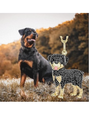 Dije de perro Ventdepot perros y gatos zirconia cúbica