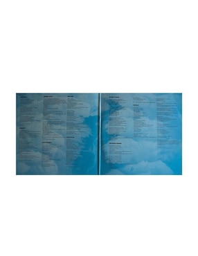 Disco de vinilo autografiado por Clap Your Hands Say Yeah Club De Idolos
