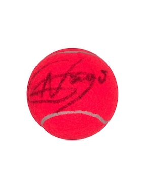 Pelota Autografiada Por Novak Djokovic Club De Idolos