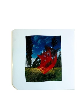 Disco de vinilo autografiado por Pink Floyd Club de Idolos