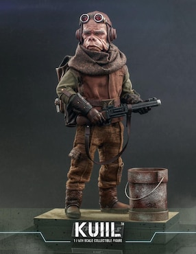 Figura de acción articulada Star Wars The Mandalorian collectors Hot Toys