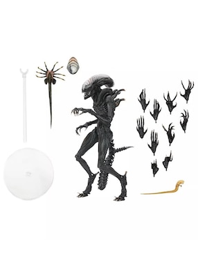 Figura de colección articulada Alien Romulus Scorched Xenomorph ultimate Neca
