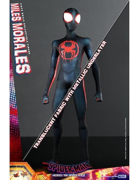 Figura de colección articulada Spider-Man Across the Spiderverse Miles Morales especial Hot Toys