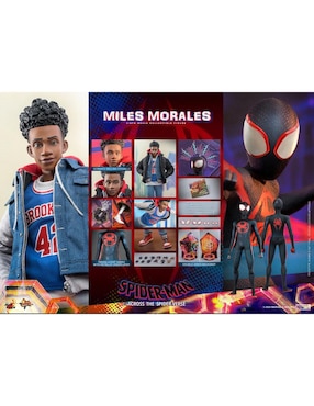 Figura coleccionable articulada Spider-Man Across The Spiderverse Miles Morales collectors Hot Toys