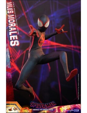 Figura coleccionable articulada Spider-Man Across The Spiderverse Miles Morales collectors Hot Toys