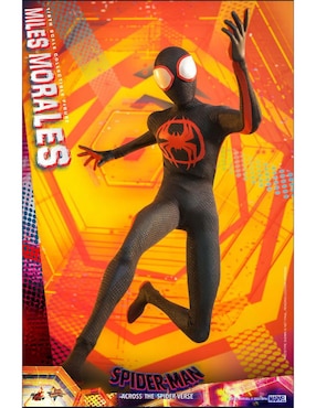 Figura coleccionable articulada Spider-Man Across The Spiderverse Miles Morales collectors Hot Toys