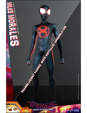 Figura coleccionable articulada Spider-Man Across The Spiderverse Miles Morales collectors Hot Toys