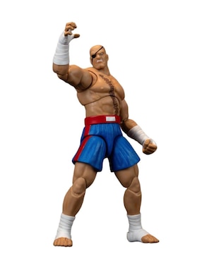 Figura de acción articulada Street Fighter Jada Toys