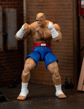 Figura de acción articulada Street Fighter Jada Toys