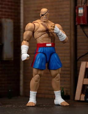 Figura de acción articulada Street Fighter Jada Toys