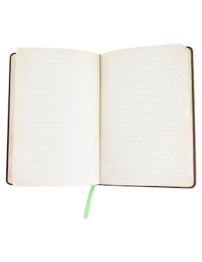 Cuaderno The Noble Collection Wicked a rayas