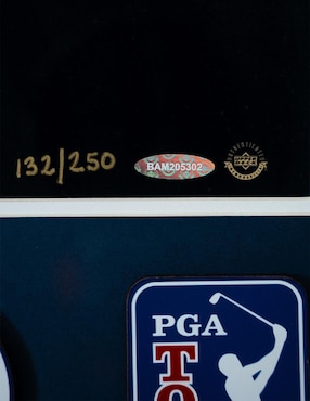 Póster autografiado por Tiger Woods Collection Inc