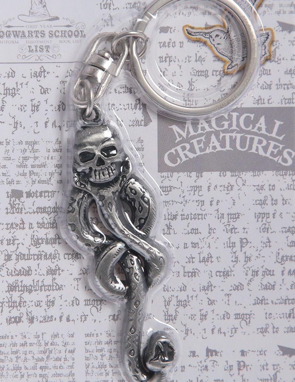 Llavero Harry Potter de acero inoxidable