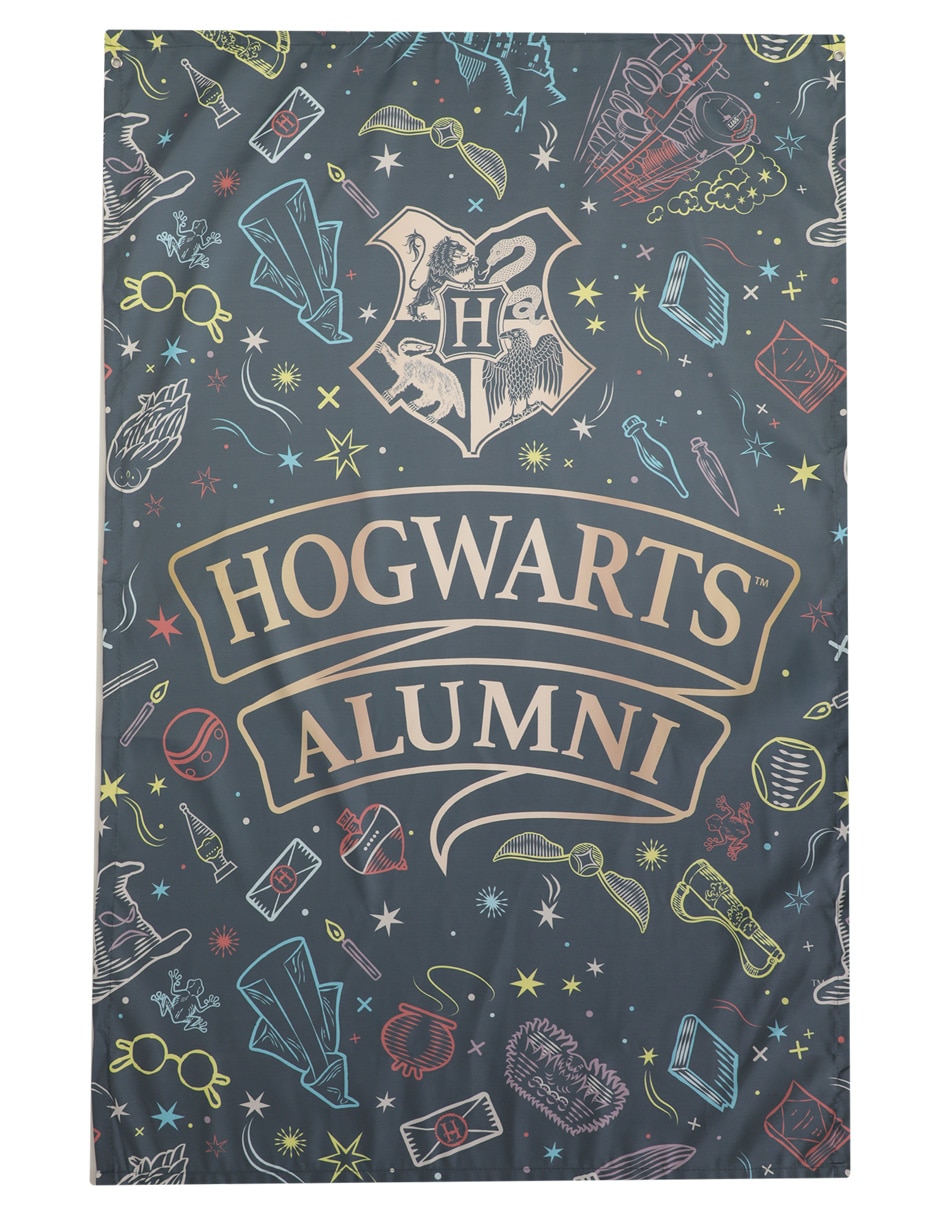 Colgante decorativo de Harry Potter