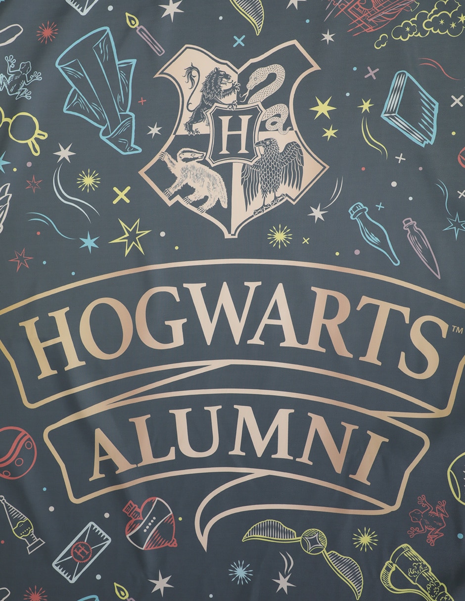 Colgante decorativo de Harry Potter 3