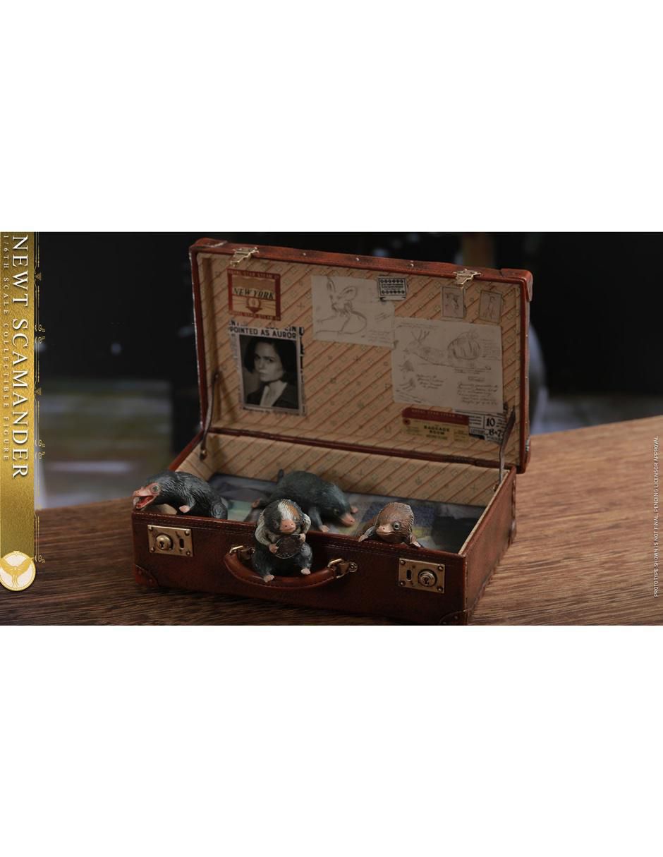 Figura Fantastic Beasts Newt Scammander especial 4