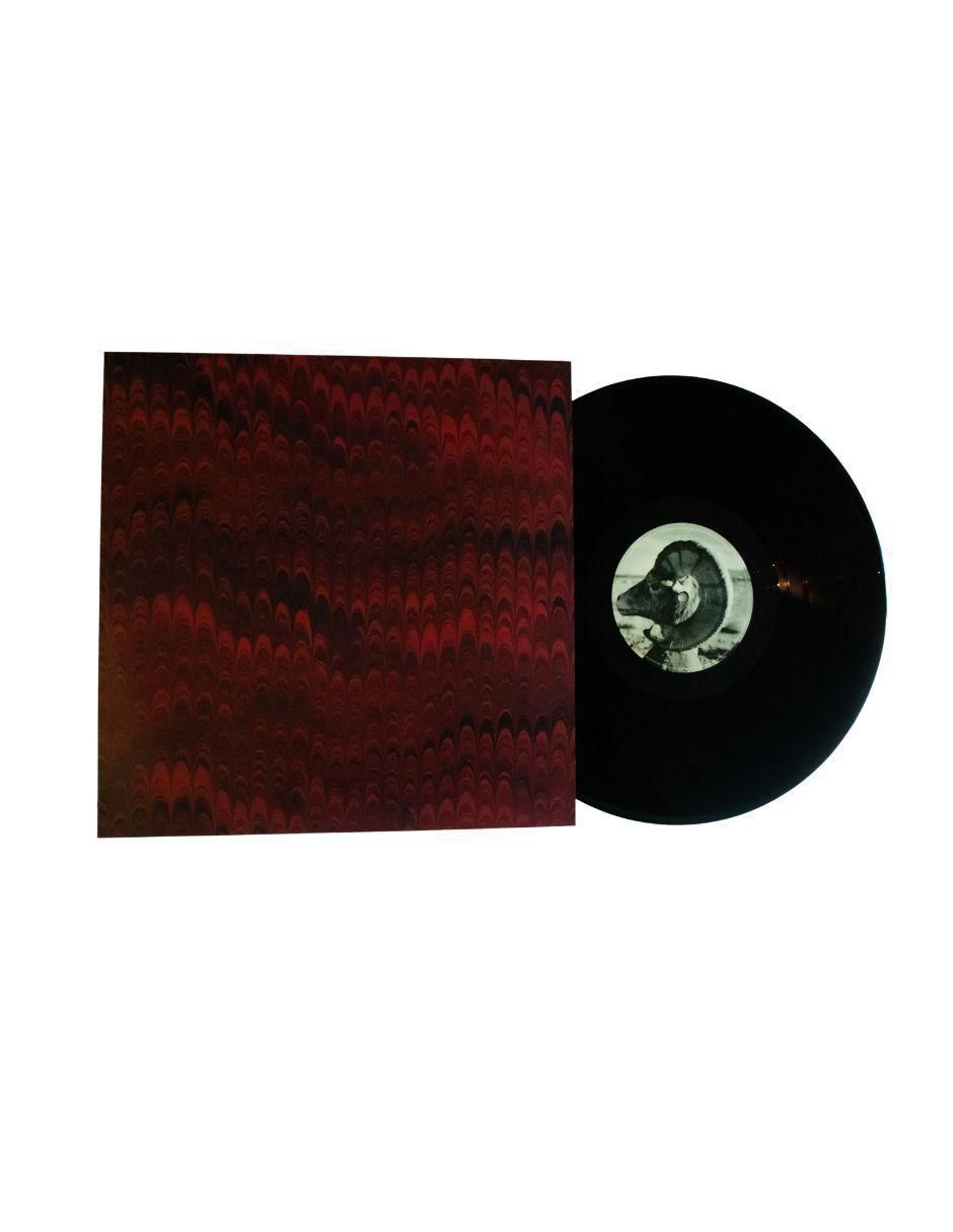 Disco de Vinilo autografiado por The Killers 3