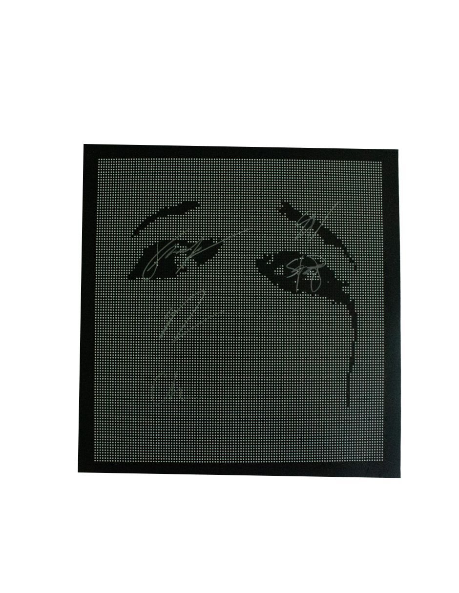 Disco de Vinilo autografiado por Deftones Disco de Vinilo autografiado por Deftones