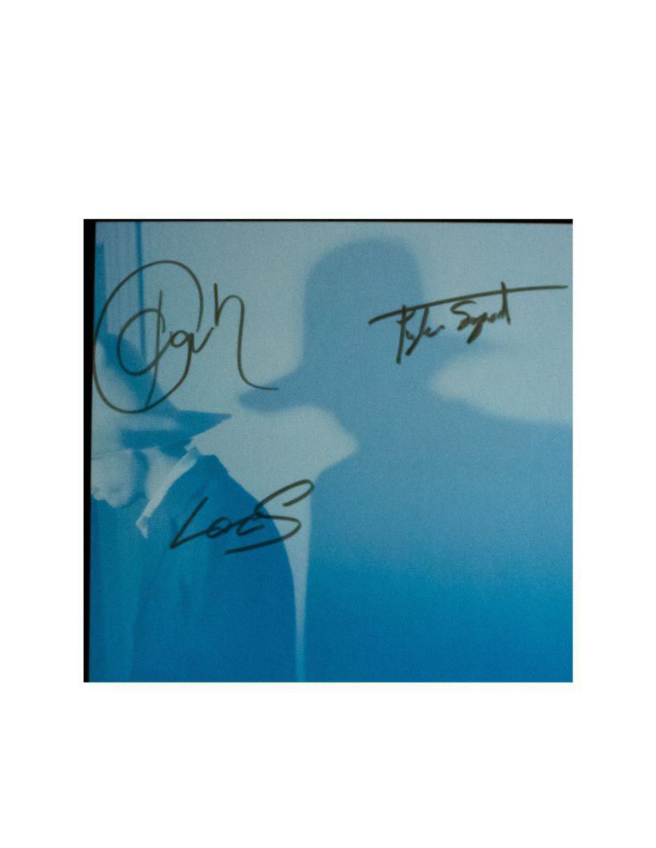 Disco de vinilo autografiado por Clap Your Hands Say Yeah 3