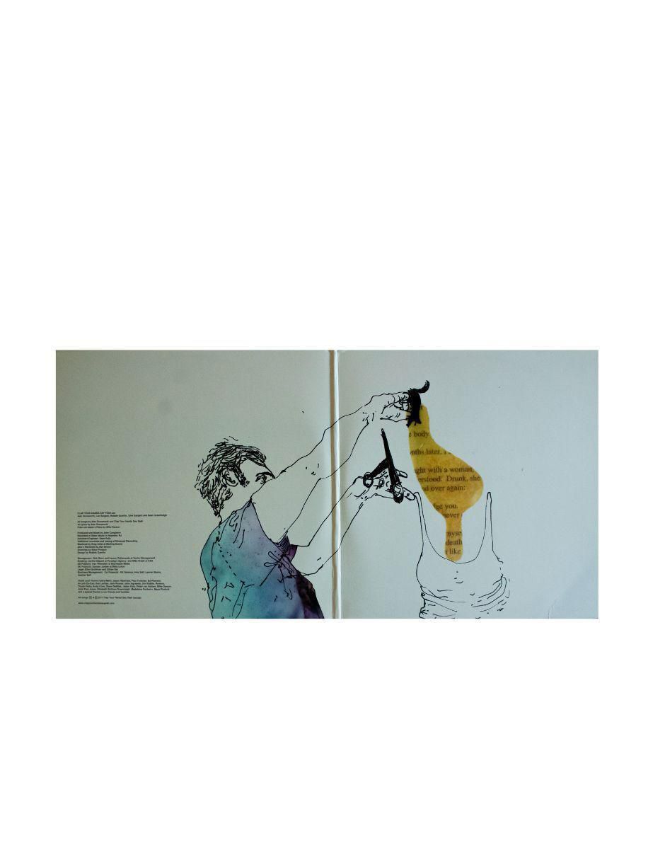 Disco de vinilo autografiado por Clap Your Hands Say Yeah 2