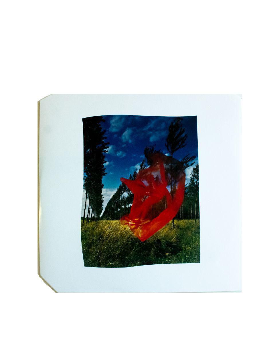 Disco de vinilo autografiado por Pink Floyd 6
